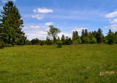 Kaltes Feld bei Schwäbisch Gmünd