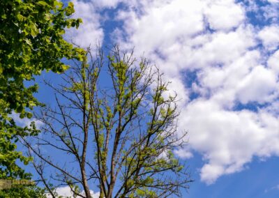 Kaltes Feld bei Schwäbisch Gmünd