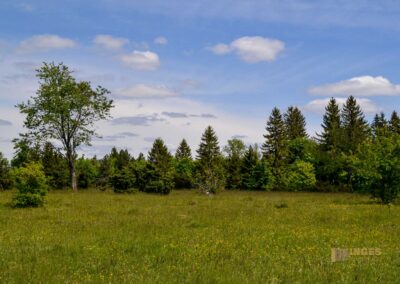 Kaltes Feld bei Schwäbisch Gmünd