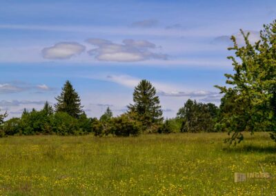 Kaltes Feld bei Schwäbisch Gmünd