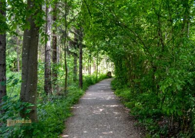 Weg zum Knörzerhaus Kaltes Feld bei Schwäbisch Gmünd