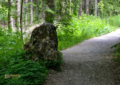 Weg zum Knörzerhaus Kaltes Feld bei Schwäbisch Gmünd