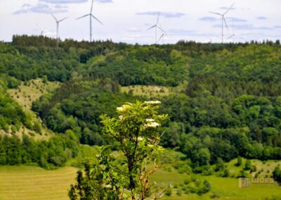 Kalte Feld Schwäbisch Gmünd-Blick auf den Eierberg