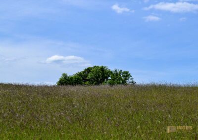 Flugplatz Hornberg bei Schwäbisch Gmünd