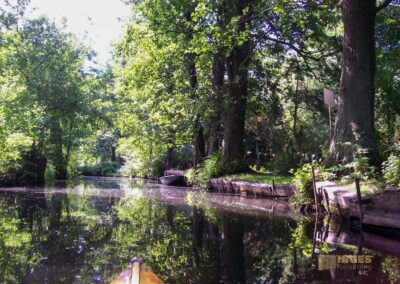 Den Spreewald per Kanu erkunden