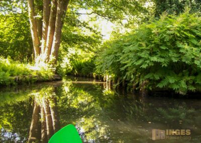 Den Spreewald per Kanu erkunden