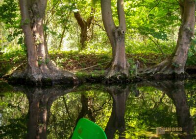 Den Spreewald per Kanu erkunden
