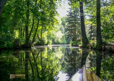 Den Spreewald per Kanu erkunden