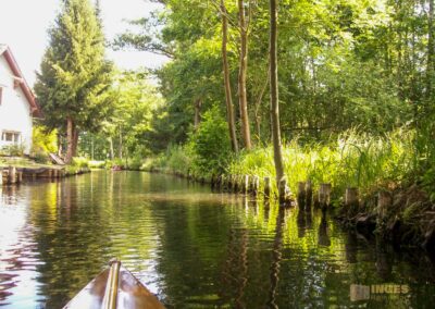 Den Spreewald per Kanu erkunden - Lehde
