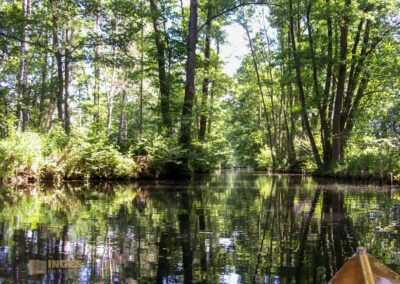 Den Spreewald per Kanu erkunden