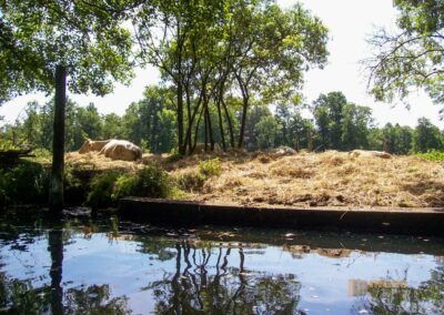 Den Spreewald per Kanu erkunden