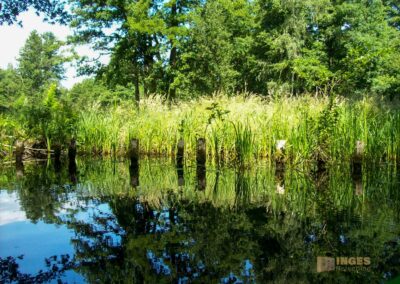 Den Spreewald per Kanu erkunden