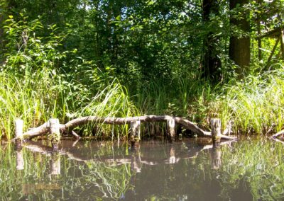 Den Spreewald per Kanu erkunden