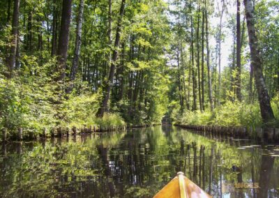 Den Spreewald per Kanu erkunden