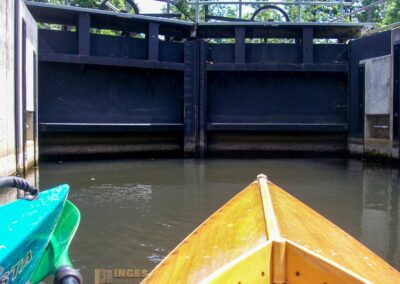 Den Spreewald per Kanu erkunden