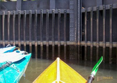 Den Spreewald per Kanu erkunden