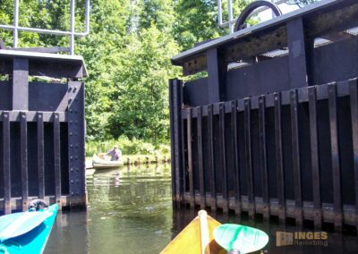 Den Spreewald per Kanu erkunden