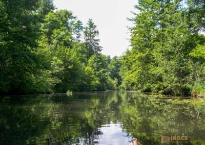 Den Spreewald per Kanu erkunden