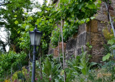 Auf dem Burgberg über Meißen 47 Burgberg Altstadt Meißen