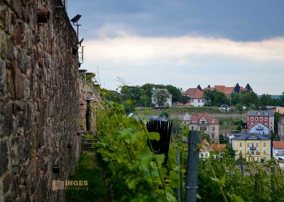 Burgberg Altstadt Meißen