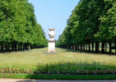 Park Schloss Pillnitz