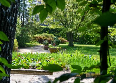 Heckengärten im Park Pillnitz