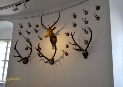 Innenräume Schloss Weesenstein