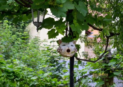 Auf dem Burgberg über Meißen 55 Burgberg Altstadt Meißen