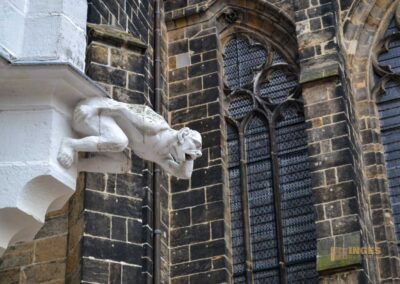 Die Albrechtsburg in Meißen 15 Albrechtsburg in Meißen