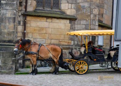 bei der Frauenkirche in Meißen
