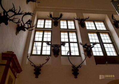 Steinsaal Schloss Moritzburg