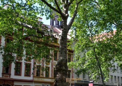 Hauptstrasse Innere Neustadt Dresden