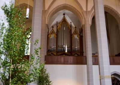 Im Dom St. Petri zu Bautzen 19 katholische Orgel im Dom St. Petri zu Bautzen
