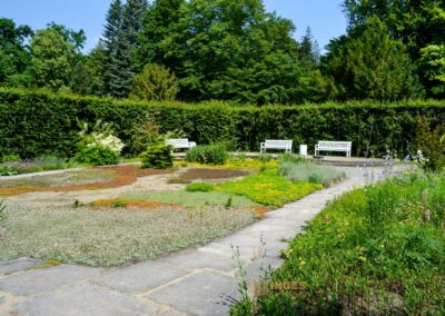 Heckengärten im Park Pillnitz