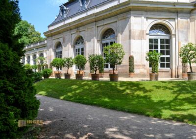 Orangerie Park Pillnitz