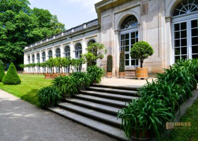 Orangerie Park Pillnitz