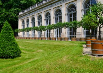 Orangerie Park Pillnitz