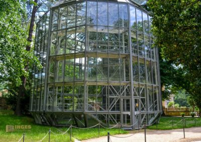 Kamelienhaus Park Pillnitz