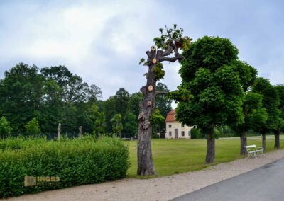 Schlosspark von Schloss Moritzburg