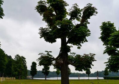 Schlosspark von Schloss Moritzburg