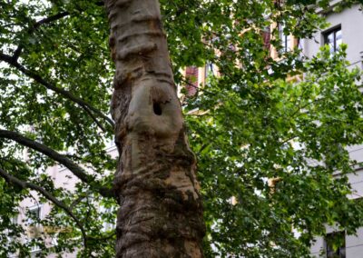 Hauptstrasse Innere Neustadt Dresden