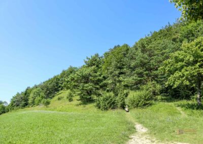Beim Reiterleskapelle Waldstetten