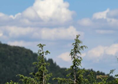 Beim Reiterleskapelle Waldstetten
