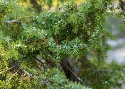 Beim Reiterleskapelle Waldstetten