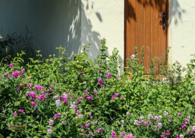 Beim Reiterleskapelle Waldstetten