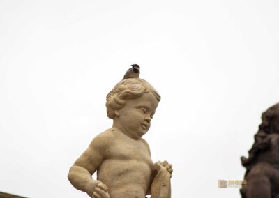 Skulpturenschmuck auf Schloss Moritzburg