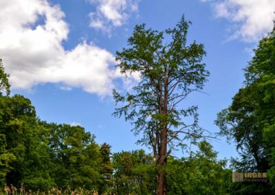 Schlosspark Lübbenau im Spreewald
