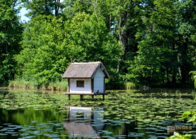 Schlosspark Lübbenau im Spreewald