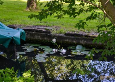 Lübbenau im Spreewald