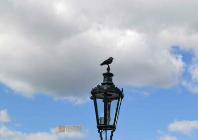 Karlsbrücke in Prag
